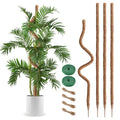 2 Pack Moss Pole, 63 Inch Bendable Moss Pole for Plants Monstera, Moss Poles for Climbing Plants, Handmade Coco Coir Pole Plant Sticks Support Plant Stakes for Indoor Plants to Grow Upwards
