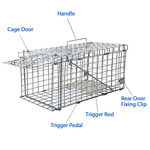 Heavy Duty Live Animal Trap for Squirrels and Small Rabbits U9278