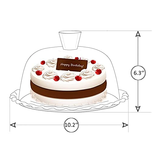 Glass Cake Stand with Dome, 10 Inch Serving Platter E2997
