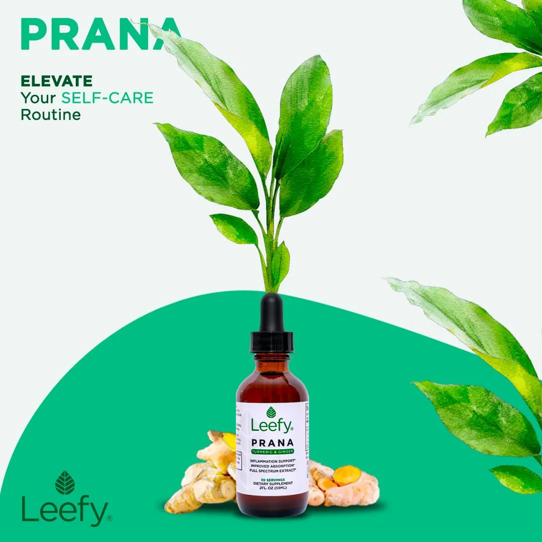 PRANA X69564