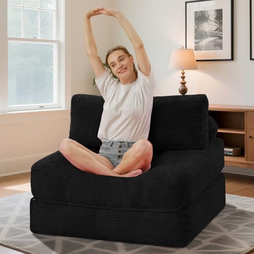 Folding Sofa Bed with Dual Pillow and Handle, Convertible Sleeper Chair, Black M821