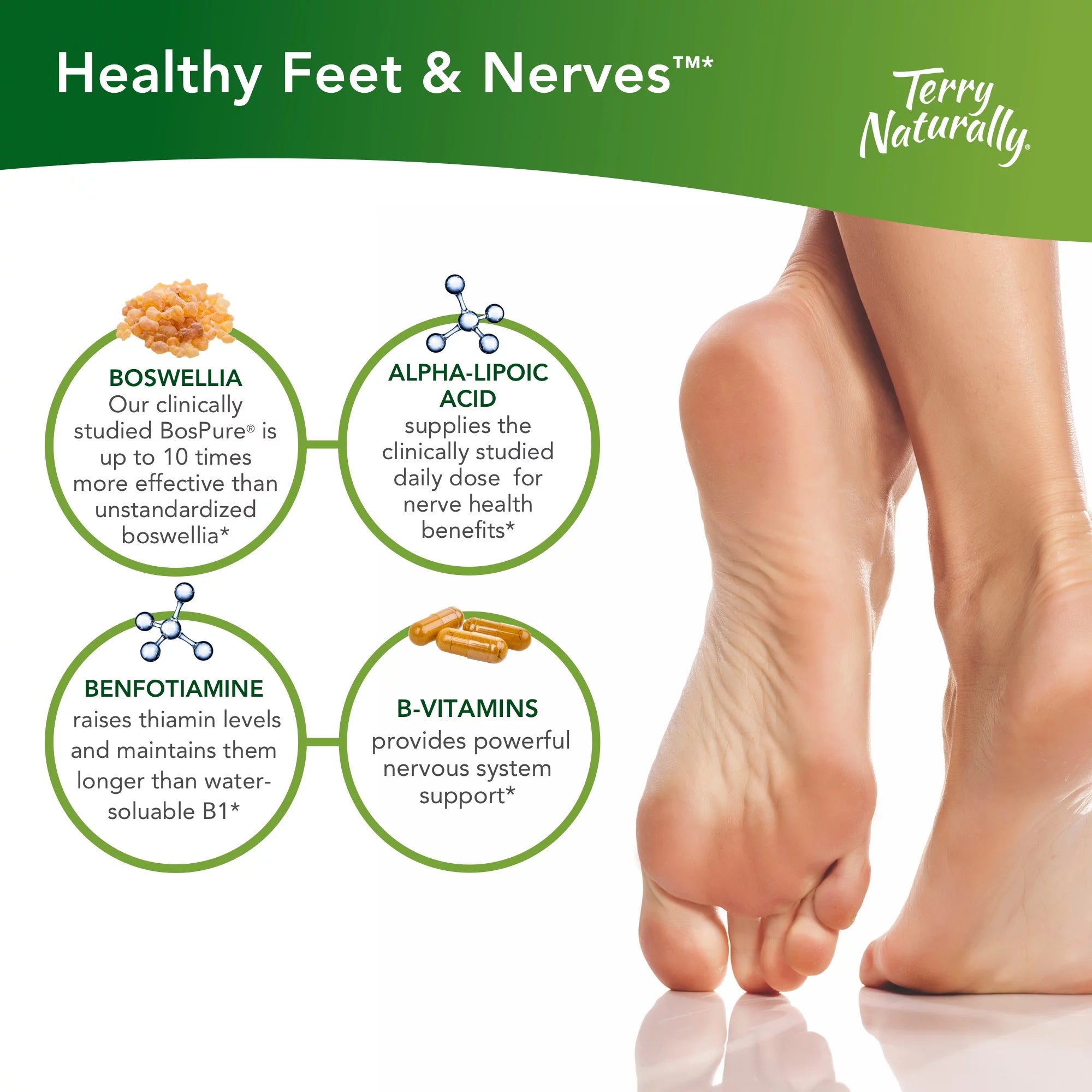 Healthy Feet & Nerves - 120 Capsules V739