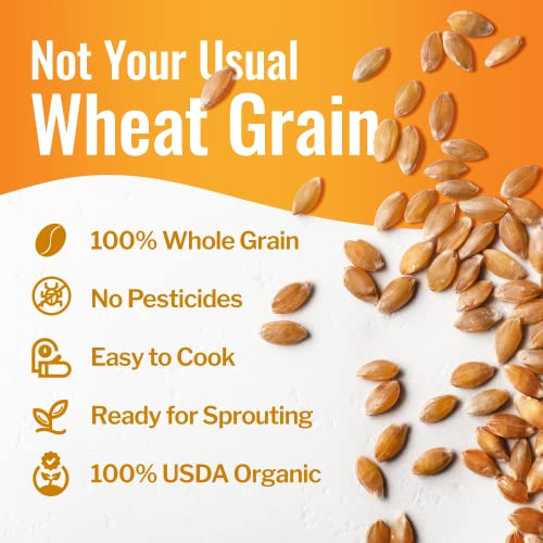 Organic Hard White Wheat Berries, 43 lbs Q419803