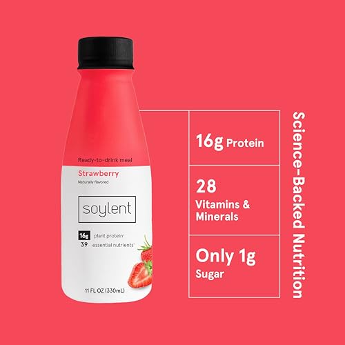Gingerbread Meal Replacement Shake, Plant Based Protein Drink, 11oz (12 Pack) B2352