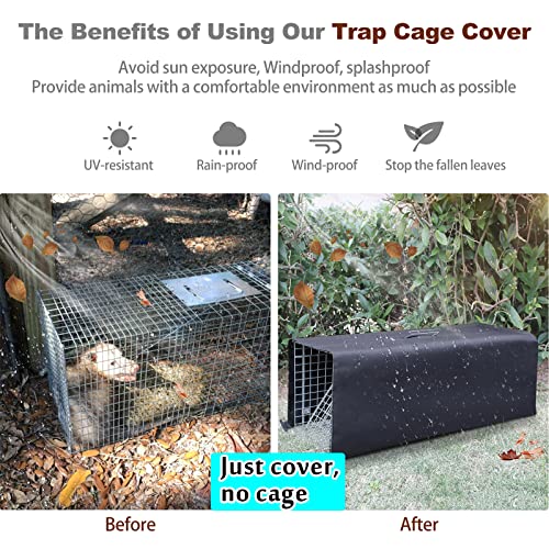 Live Animal Trap Cage with Cover, 32 Inch Heavy Duty Folding Trap for Raccoons, Opossums, Groundhogs, Feral Cats A171