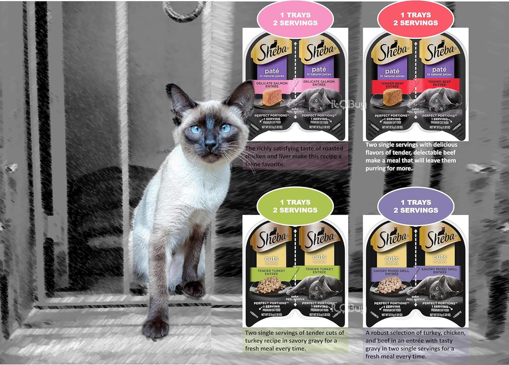 Assorted Cuts in Gravy and Pate Cat Food Trays with Toy and Booklet I14492