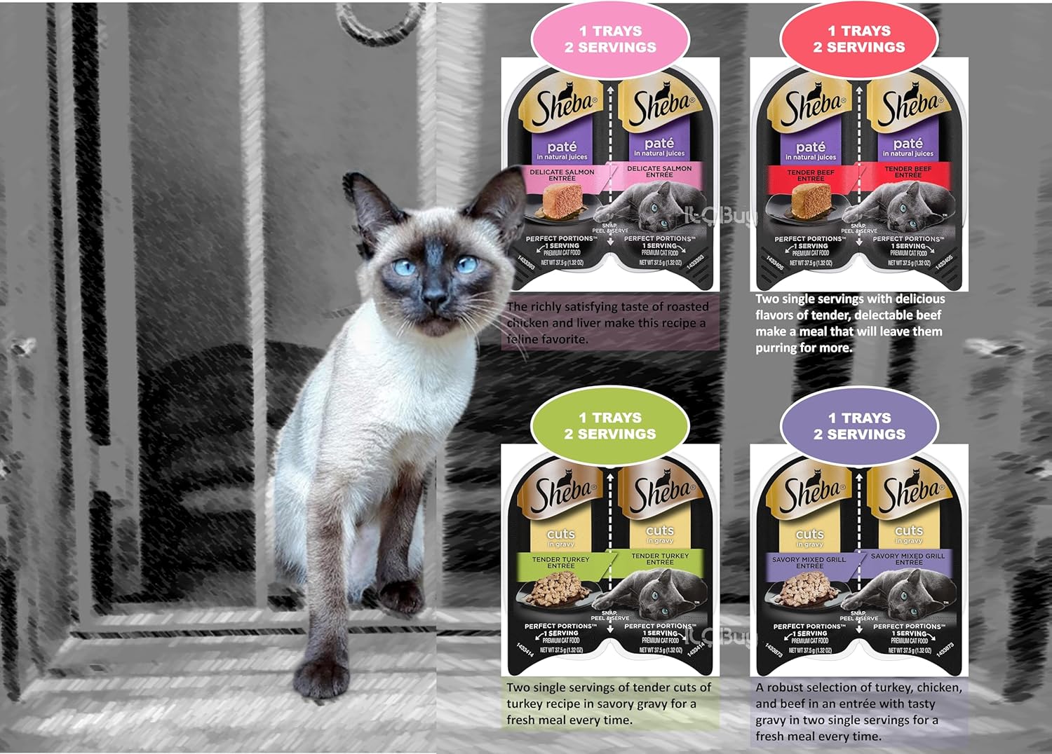 Assorted Cuts in Gravy and Pate Cat Food Trays with Toy and Booklet I14492