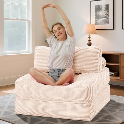 Folding Sofa Bed with Dual Pillow and Handle, Convertible Sleeper Chair, Black M821