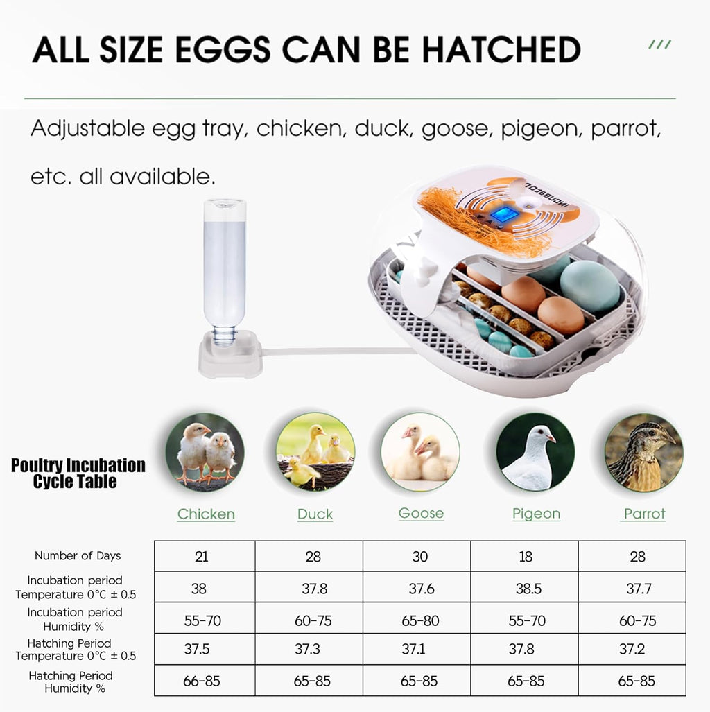 Egg Incubator with Humidity Display, LED Egg Candler, Automatic Turner, 360° Clear View, 16-35 Eggs M998949