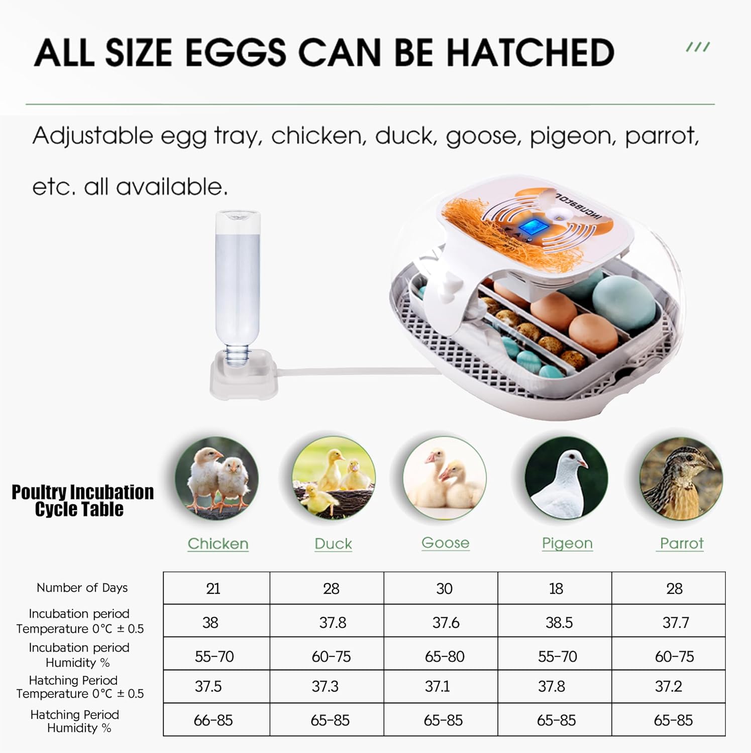 Egg Incubator with Humidity Display, LED Egg Candler, Automatic Turner, 360° Clear View, 16-35 Eggs M998949