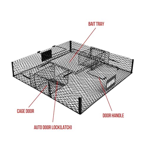 Squirrel Trap No Bottom Tray, Metal, 2 Pack W59918