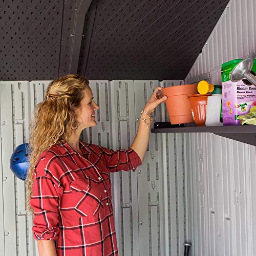 Outdoor Storage Shed 10 x 8 Ft. D7568