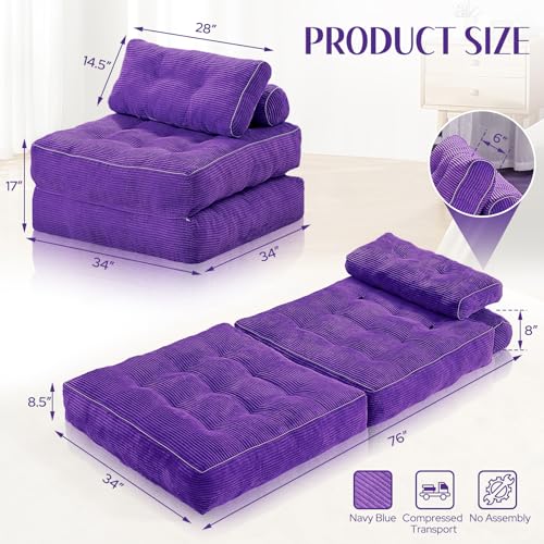 Folding Sofa Bed with Dual Pillow and Handle, Convertible Sleeper Chair, Black M821