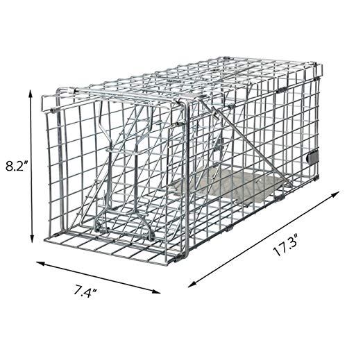 Heavy Duty Live Animal Trap for Squirrels and Small Rabbits U9278