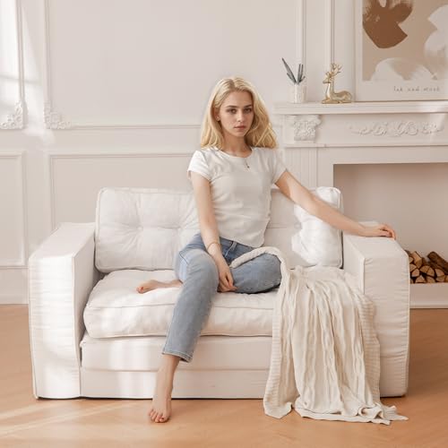 Loveseat Sleeper Sofa Convertible Sofa Bed Couch with Reclining Backrest and Pillows A86014