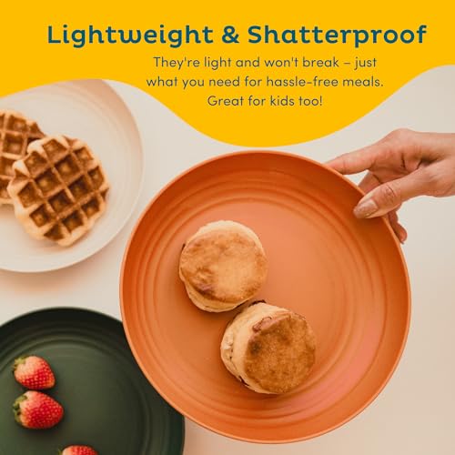 Wheat Straw Dinner Plates Set for 8, Reusable, Unbreakable, Dishwasher Safe V624286