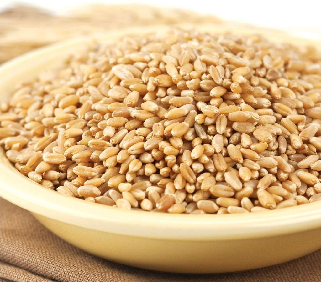 Prairie Gold Wheat Berries, 50lb bag I376