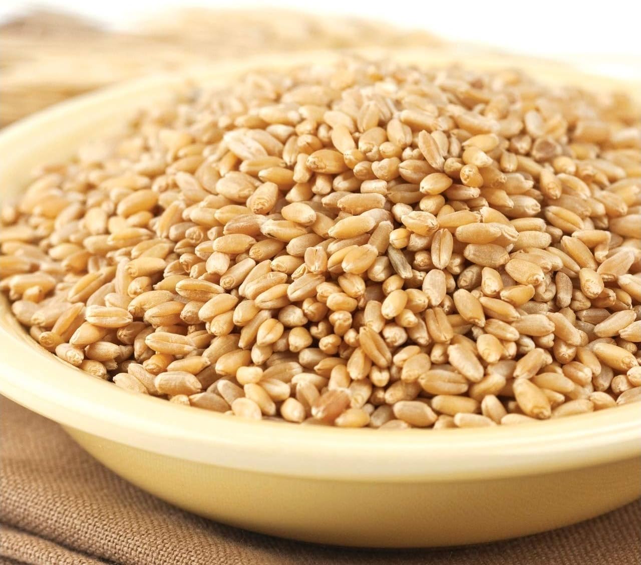 Prairie Gold Wheat Berries, 50lb bag I376