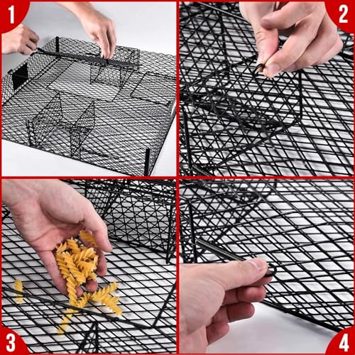 Squirrel Trap No Bottom Tray, Metal, 2 Pack W59918