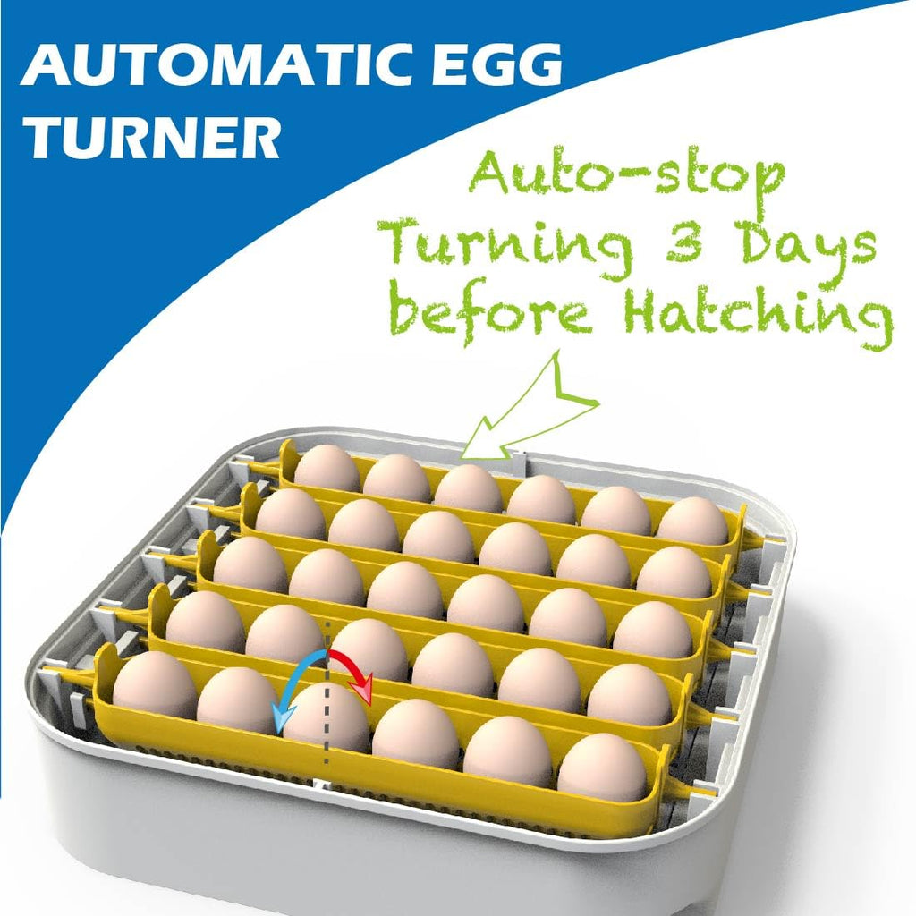 30 Egg Incubator with Humidity Display and Automatic Egg Turner D986
