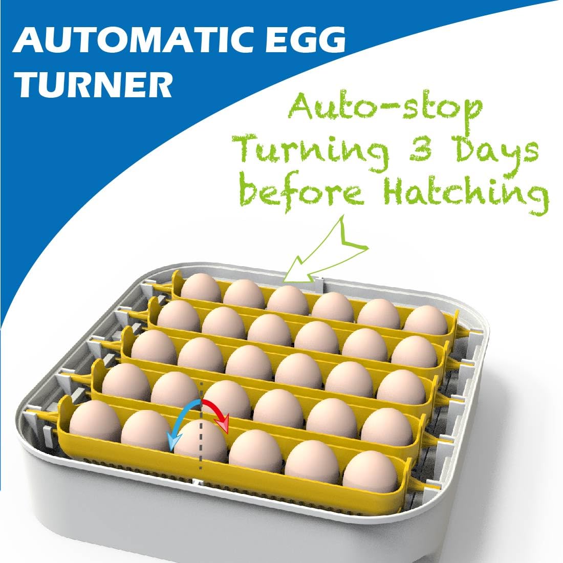 30 Egg Incubator with Humidity Display and Automatic Egg Turner D986