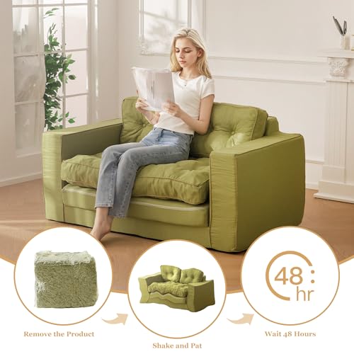 Loveseat Sleeper Sofa Convertible Sofa Bed Couch with Reclining Backrest and Pillows A86014