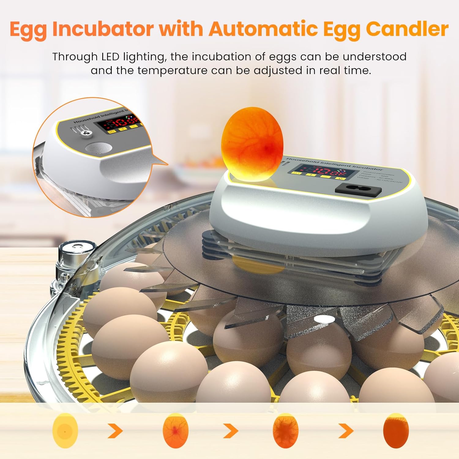 Egg Incubator with Automatic Turning and Water Adding, 18-60 Eggs C20210
