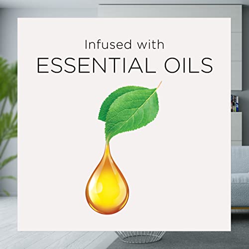 Essential Mist Refill, 3ct, Brown Sugar & Vanilla, Air Freshener G514015