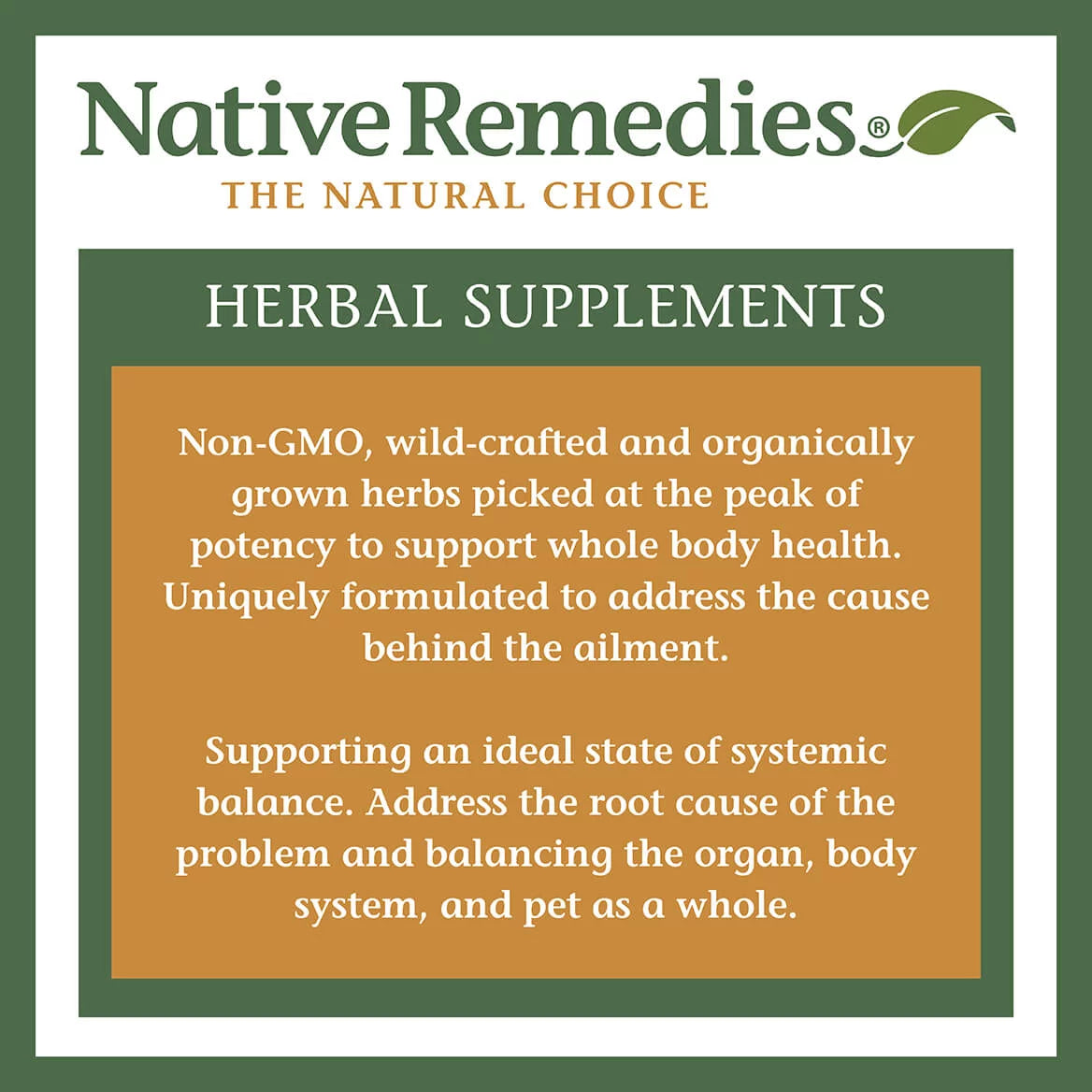 Urinary Tract and Bladder Health Herbal Supplement, 2-Pack M418
