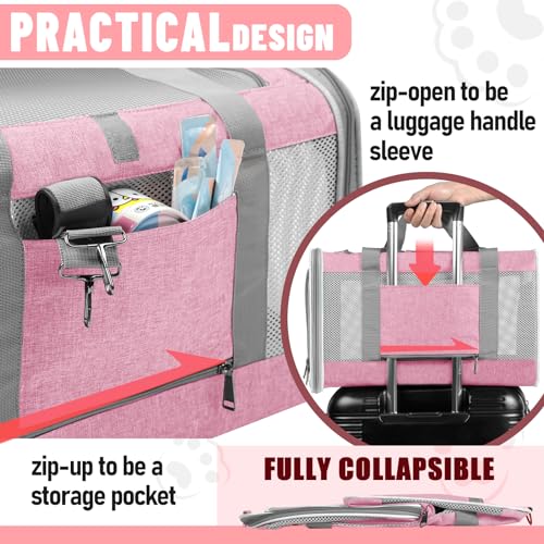 Soft Sided Pet Carrier for Large Cats and Small Dogs R89313