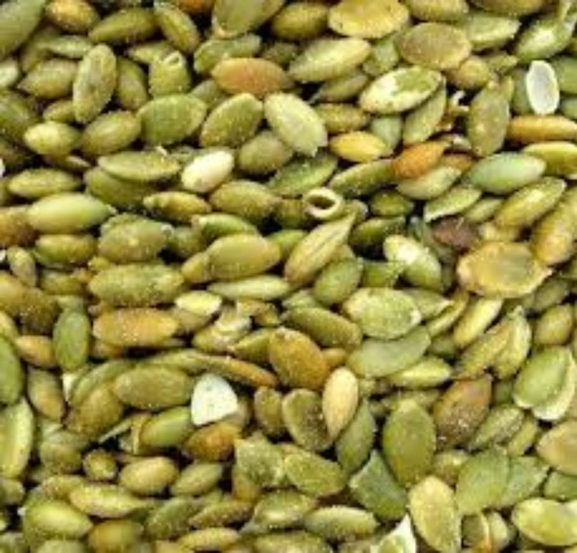 Roasted Salted Pumpkin Seeds, 2 Lbs. R91030