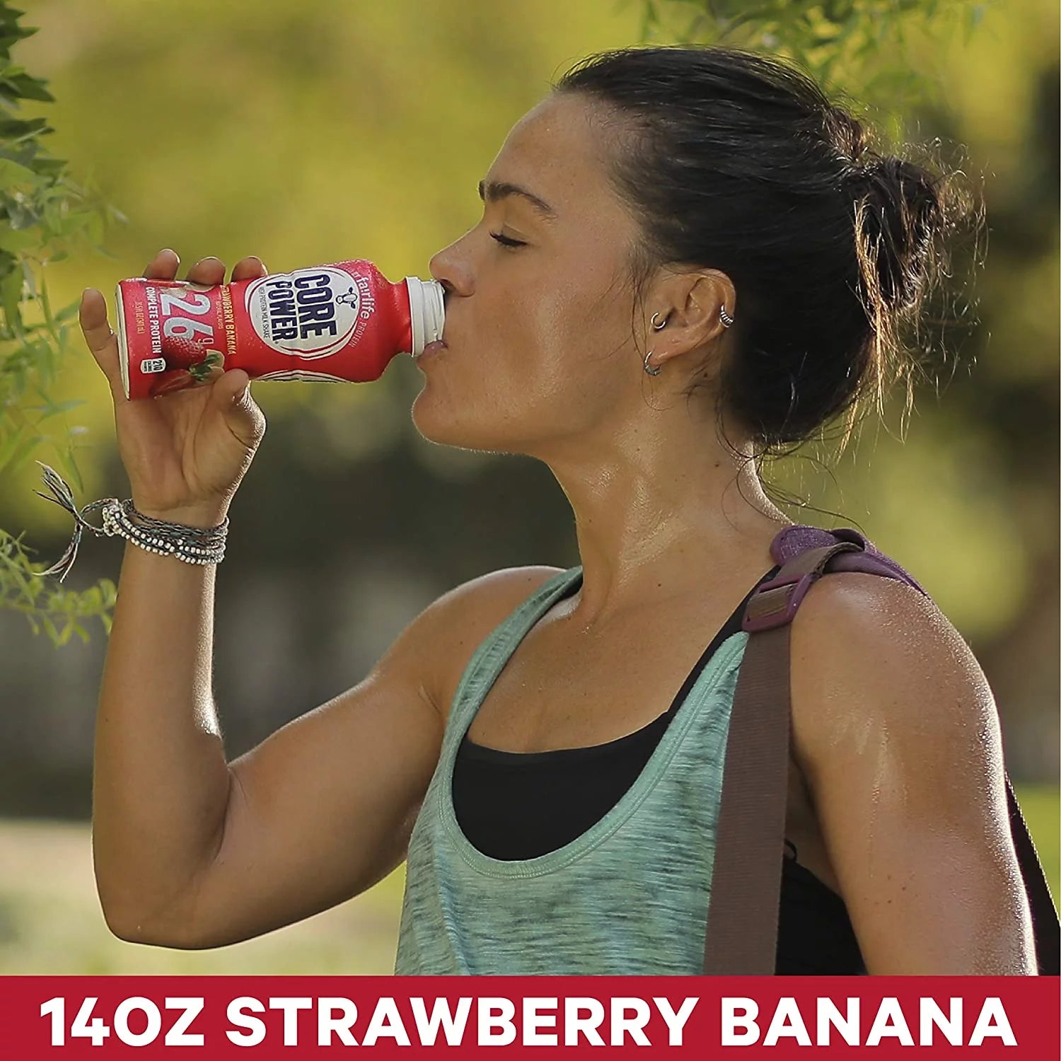 Strawberry Banana High Protein Milk Shake, 14 Fl Oz (Pack of 12) V971