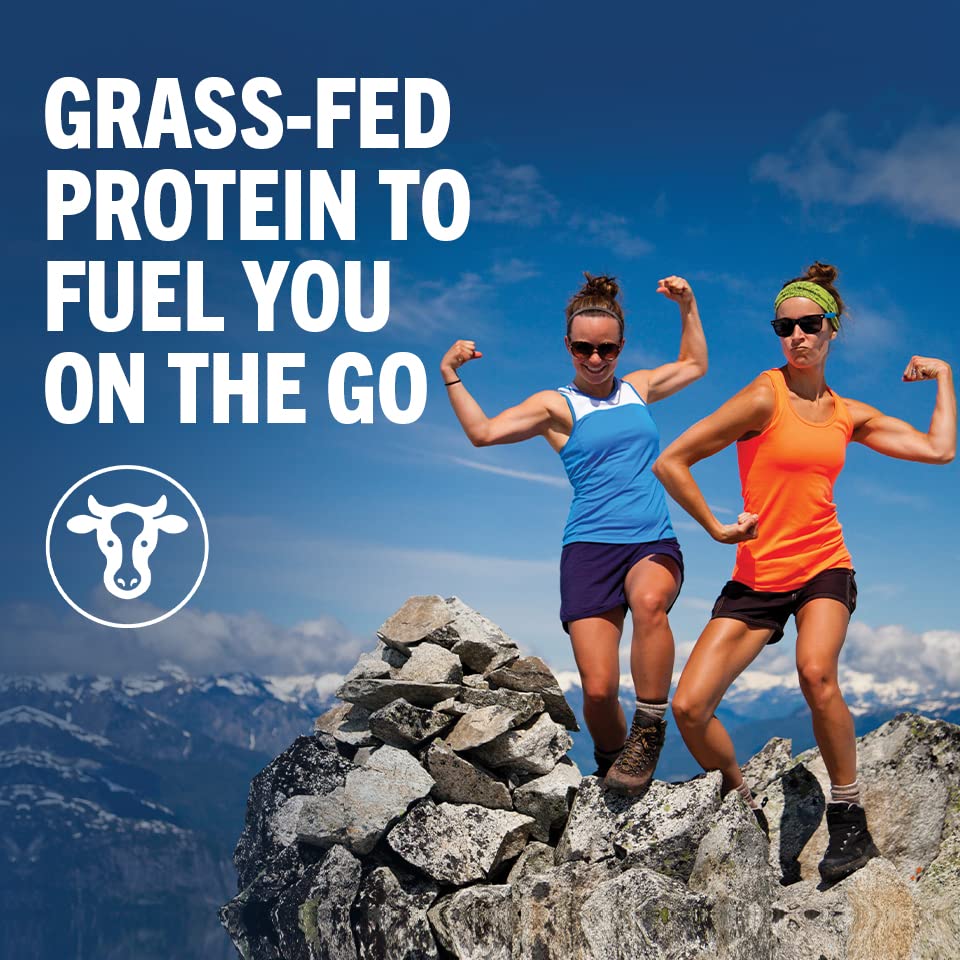 Protein Shake, Vanilla Bean, 20g Whey, 11 Fl Oz (Pack of 12) Y83753