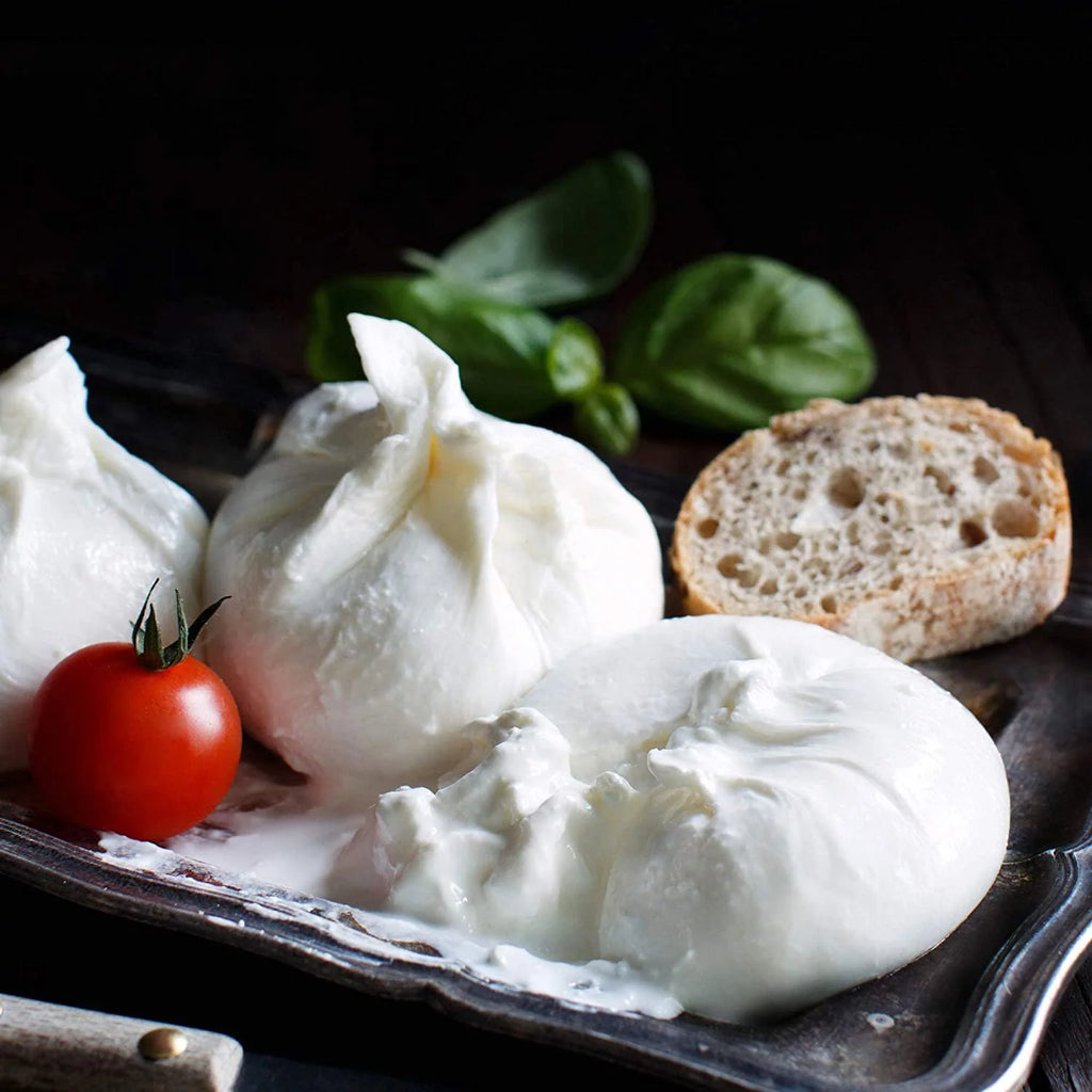 Cheese Making Kit with Easy Recipes D568