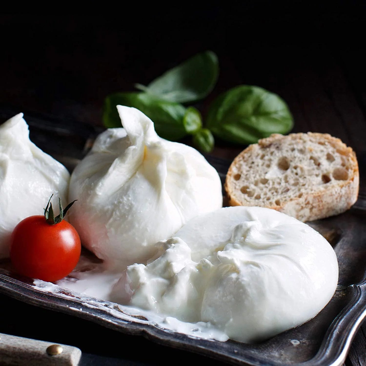 Cheese Making Kit with Easy Recipes D568