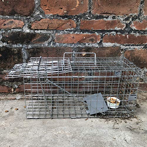 Heavy Duty Live Animal Trap for Squirrels and Small Rabbits U9278