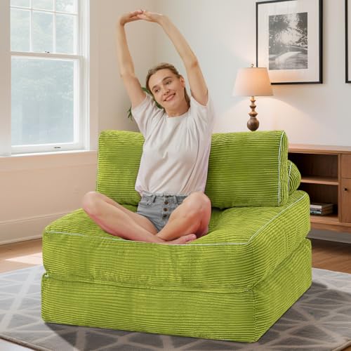 Folding Sofa Bed with Dual Pillow and Handle, Convertible Sleeper Chair, Black M821