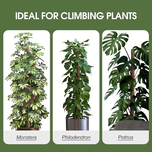 2 Pack 63 Inch Bendable Moss Pole for Climbing Plants B44433
