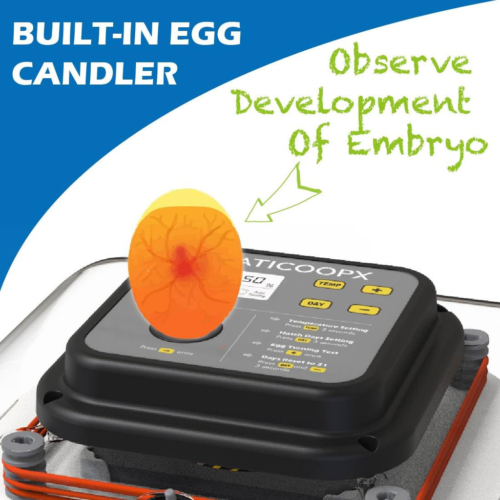 30 Egg Incubator with Humidity Display and Automatic Egg Turner D986