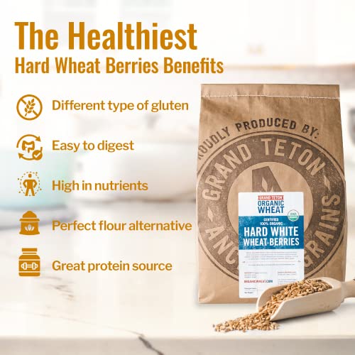 Organic Hard White Wheat Berries, 43 lbs Q419803