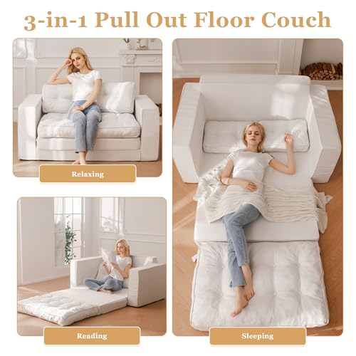Loveseat Sleeper Sofa Convertible Sofa Bed Couch with Reclining Backrest and Pillows A86014