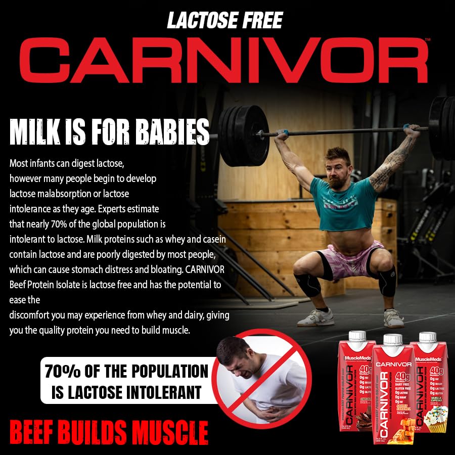 Ready to Drink Protein, Lactose Free, 40g Isolate, Chocolate 16.9 Fl Oz (Pack of 12) B9617