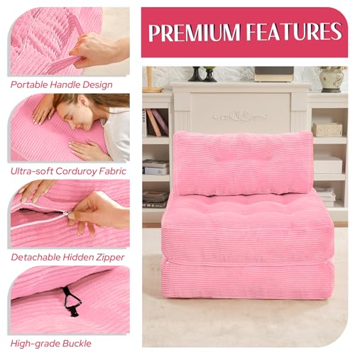 Folding Sofa Bed with Dual Pillow and Handle, Convertible Sleeper Chair, Black M821