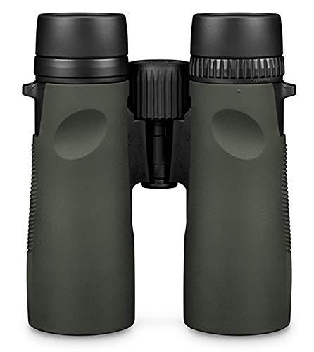 Roof Prism Binoculars 10x42 F3971