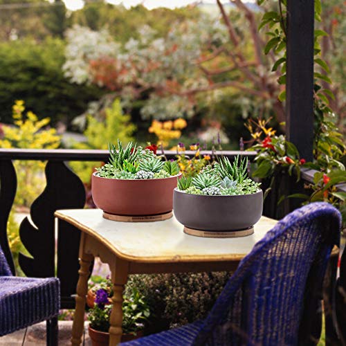 Terracotta Succulent Planter with Bamboo Tray, 8 Inch, Drainage Hole E726431
