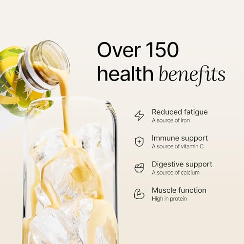 Chocolate Meal Replacement Drink, High Protein, Plant Based, 16.9 Fl Oz (12 Pack) T510