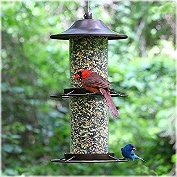 Panorama Bird Feeder R1385