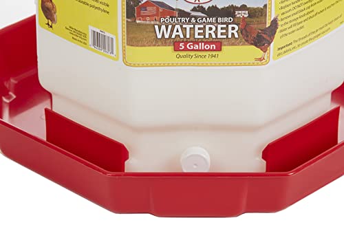 Plastic Poultry Waterer, Gravity Fed, 3 Gallons T642