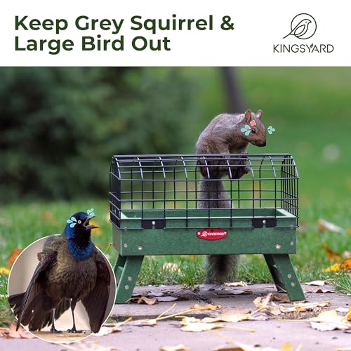 Squirrel Proof Bird Feeder for Outdoors, Recycled Plastic Platform, Metal Caged, 5 LBS U170