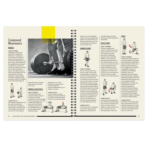 28-Day Belly Fat Burner Workout Planner F467